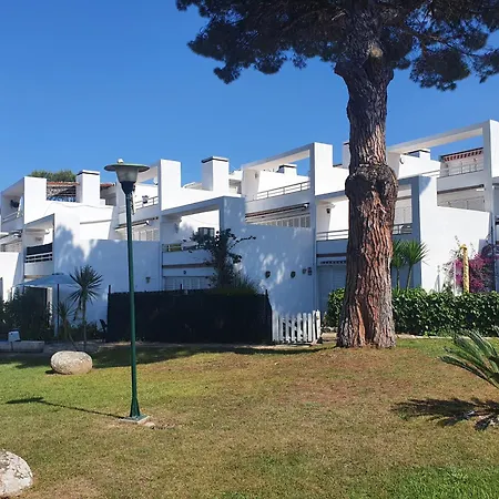 La Gaviota *