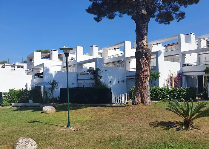 La Gaviota *