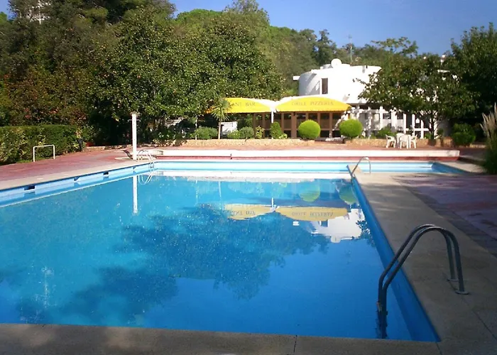 La Gaviota *